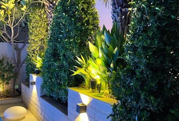 plantation 370x250-1