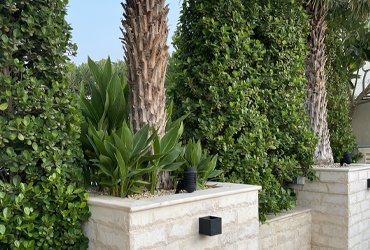 plantation 370x250-3